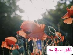 2021五月最后一天伤感说说 告别五月的心情短句