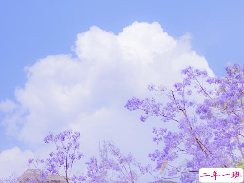 说说文案日常很温柔 简单气质的温柔句子1