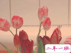 一个人过节的伤感说说 2021一个人过520的难过句子