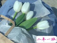 温柔又耐看的朋友圈短句 很干净的发朋友圈的句子