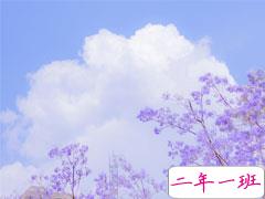 说说文案日常很温柔 简单气质的温柔句子