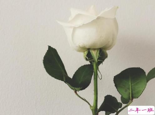 一段成熟而又伤感的短句 很简短的虐心句子2