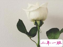 一段成熟而又伤感的短句 很简短的虐心句子