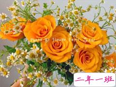 带有玫瑰文字的浪漫朋友圈文案 很文艺的关于玫瑰的文案