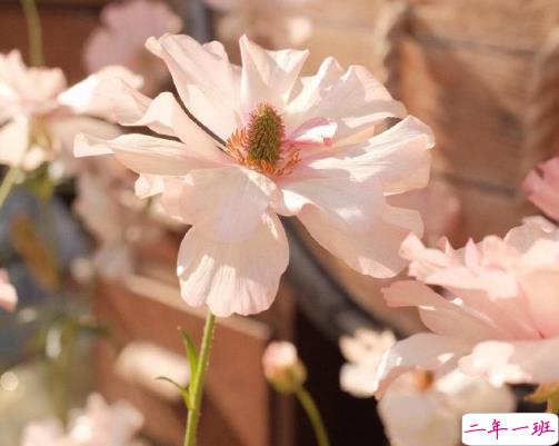 比较深沉的人生感悟句子 精辟又现实的感悟句子1