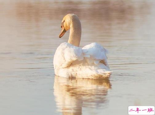 比较深沉的人生感悟句子 精辟又现实的感悟句子2