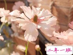 比较深沉的人生感悟句子 精辟又现实的感悟句子