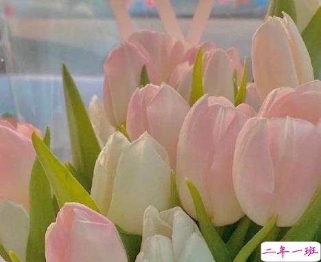 关于人间清醒的感悟句子 现实生活的感悟经典句子2