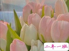 关于人间清醒的感悟句子 现实生活的感悟经典句子