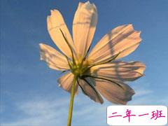 适合用来开导自己的心灵鸡汤 用来激励自己的正能量鸡汤