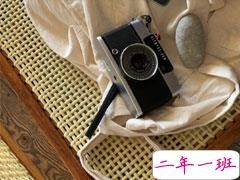 关于社恐发朋友圈的心情说说 社恐发朋友圈的文案