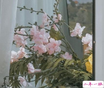 关于我的很有深度的文案带图片 写给自己的精辟短句2