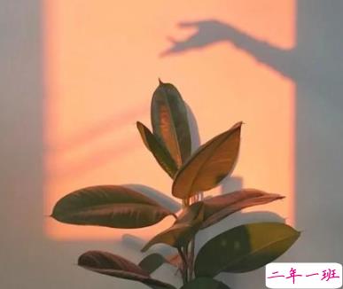 带着光的温柔又很好听的文案带图片 很唯美的又好听的语录4