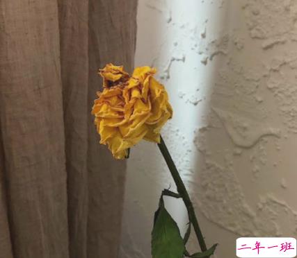 关于我的很有深度的文案带图片 写给自己的精辟短句7