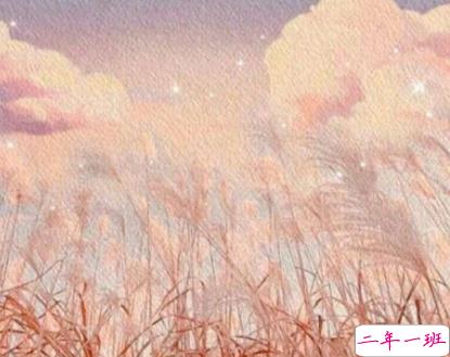 带着光的温柔又很好听的文案带图片 很唯美的又好听的语录11