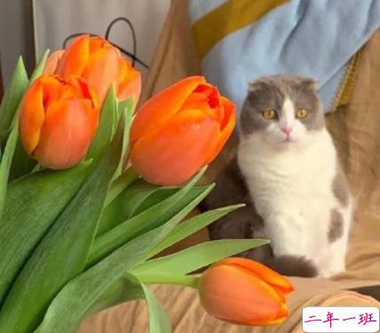 关于我的很有深度的文案带图片 写给自己的精辟短句14