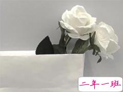 关于我的很有深度的文案带图片 写给自己的精辟短句