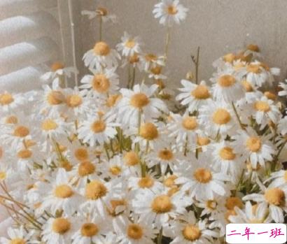 适合天冷官宣恋情的甜甜恋爱 甜蜜又很撩人的恋爱句子2