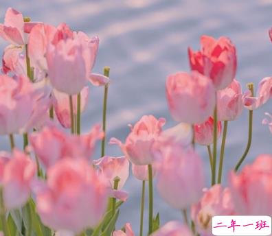 适合天冷官宣恋情的甜甜恋爱 甜蜜又很撩人的恋爱句子3