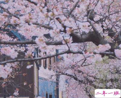 适合天冷官宣恋情的甜甜恋爱 甜蜜又很撩人的恋爱句子9