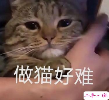 关于英雄联盟手游的朋友圈沙雕文案带图片 很搞笑的英雄联盟手游句子2