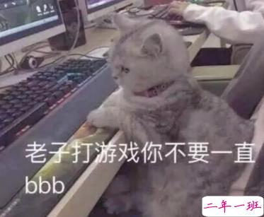 关于英雄联盟手游的朋友圈沙雕文案带图片 很搞笑的英雄联盟手游句子3