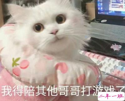 关于英雄联盟手游的朋友圈沙雕文案带图片 很搞笑的英雄联盟手游句子5