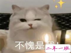 关于英雄联盟手游的朋友圈沙雕文案带图片 很搞笑的英雄联盟手游句子