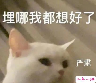 最近很火的内卷段子文案带图片 关于内卷的搞笑语录4