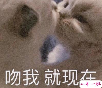 最近很火的内卷段子文案带图片 关于内卷的搞笑语录5