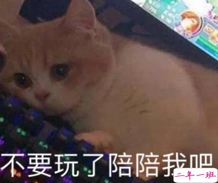 最近很火的内卷段子文案带图片 关于内卷的搞笑语录7