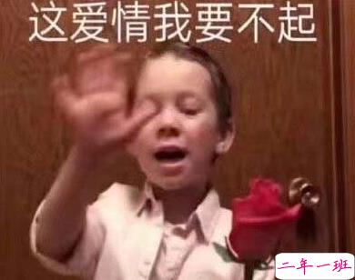 最近很火的内卷段子文案带图片 关于内卷的搞笑语录9