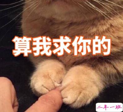 最近很火的内卷段子文案带图片 关于内卷的搞笑语录10