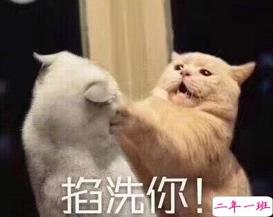 最近很火的内卷段子文案带图片 关于内卷的搞笑语录12