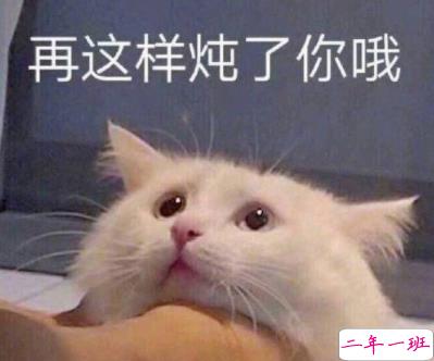 最近很火的内卷段子文案带图片 关于内卷的搞笑语录14