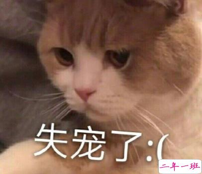 最近很火的内卷段子文案带图片 关于内卷的搞笑语录15