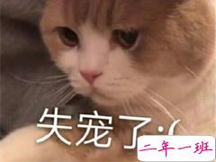 最近很火的内卷段子文案带图片 关于内卷的搞笑语录