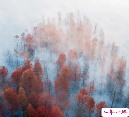 秋季降温的文案带图片 秋季降温问候语的文案4