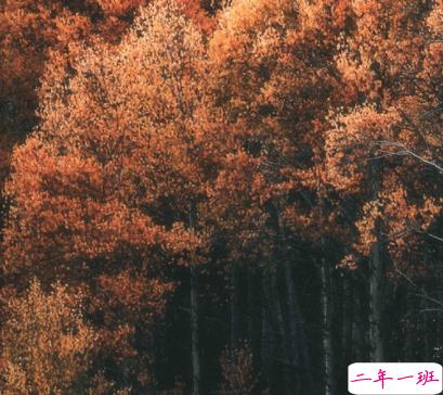 秋季降温的文案带图片 秋季降温问候语的文案10