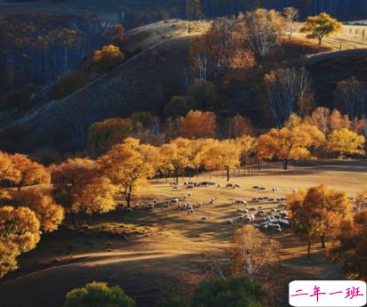 秋季降温的文案带图片 秋季降温问候语的文案12