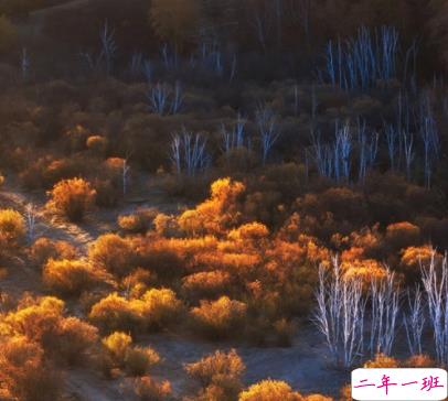 秋季降温的文案带图片 秋季降温问候语的文案15