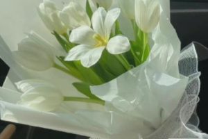 讽刺性极强的句子 有点扎心的文案短句