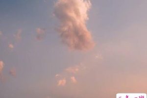 婚姻两个人渐行渐远的说说 对婚姻伤感绝望的句子