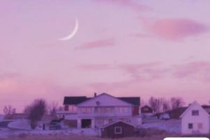 天冷心更冷的伤感说说 天冷比不过心冷的句子