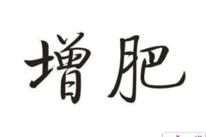 想增肥的幽默说说 关于想增肥的朋友圈短句