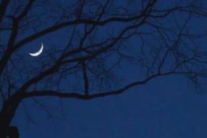 2021最后一个月心情说说 最后一个月的朋友圈短句