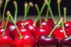 最新冬季吃车厘子的说说 晒吃车厘子的文案