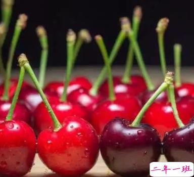 最新冬季吃车厘子的说说 晒吃车厘子的文案1