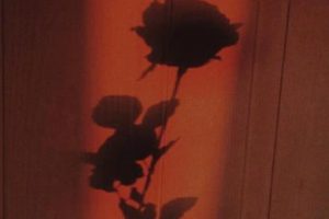 每天忙绿到很晚的回家说说 每天很忙碌的心情说说