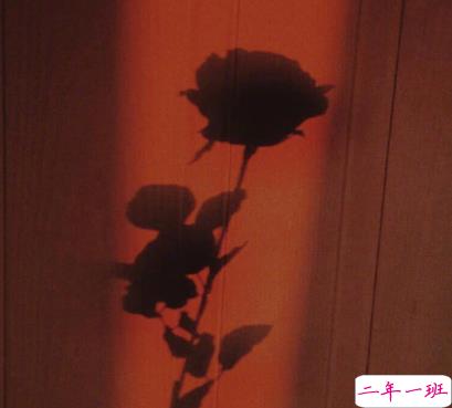 每天忙绿到很晚的回家说说 每天很忙碌的心情说说1